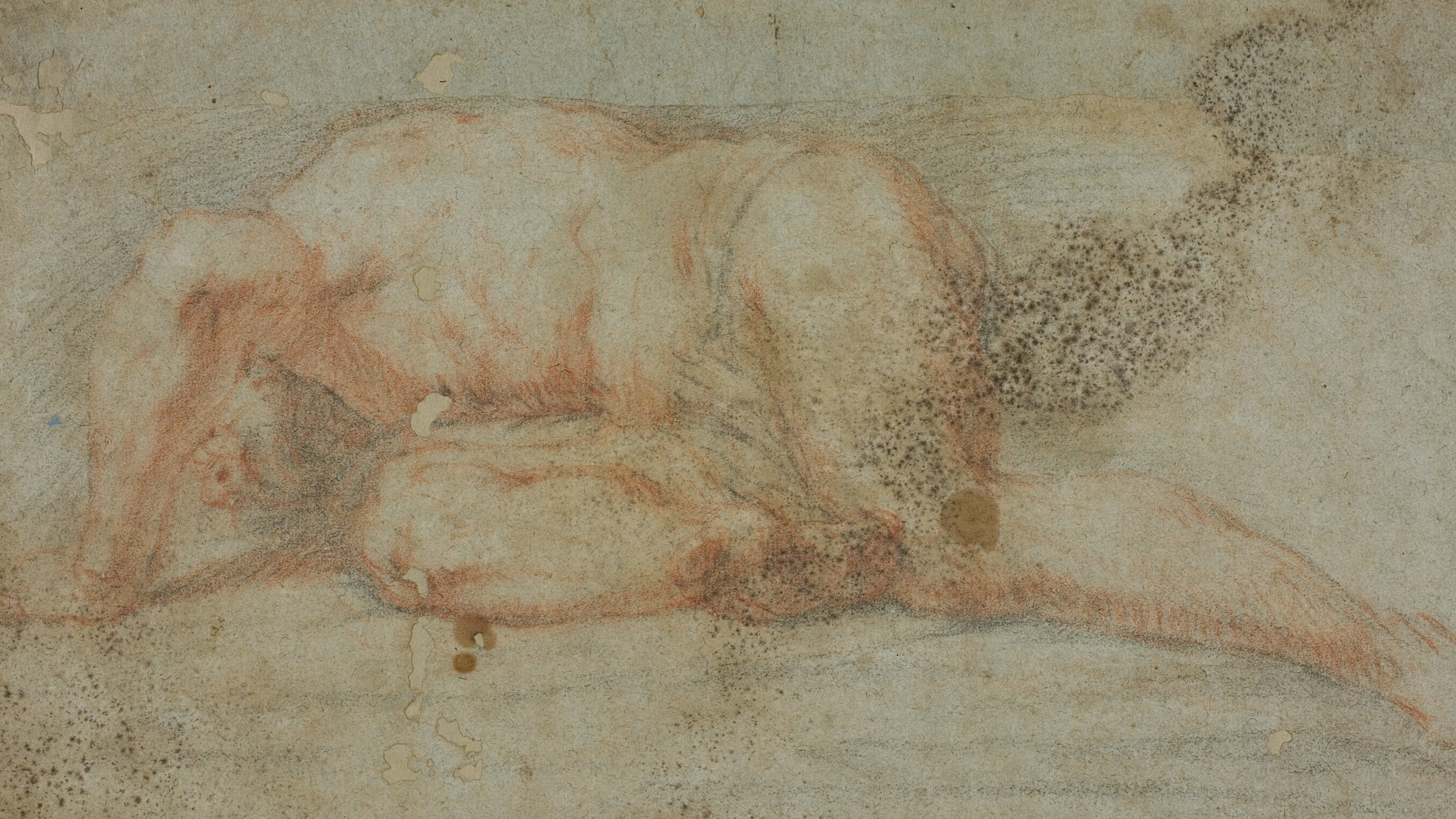 Sanguine Reclining Study